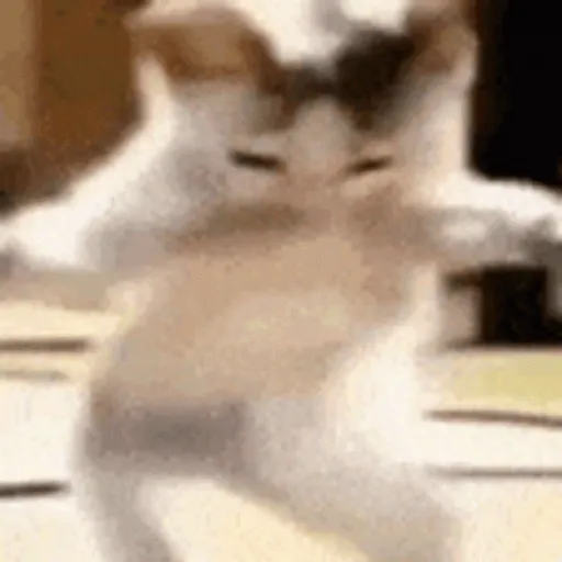 Dançando, dançando e dançando 🕺💃🪩 12