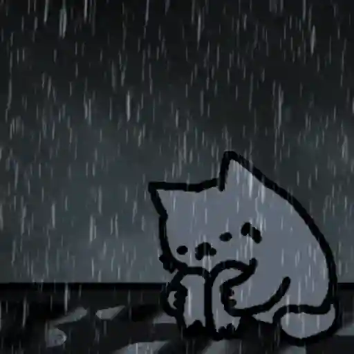 Lluvia 🌧️ 16