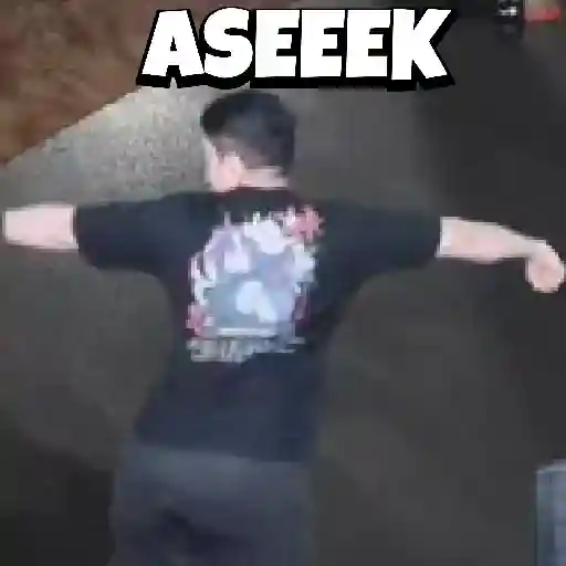 Meme windah basudara gif 4