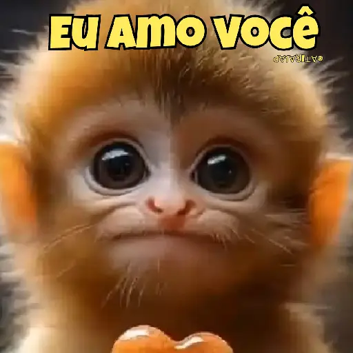 Namorados* 5