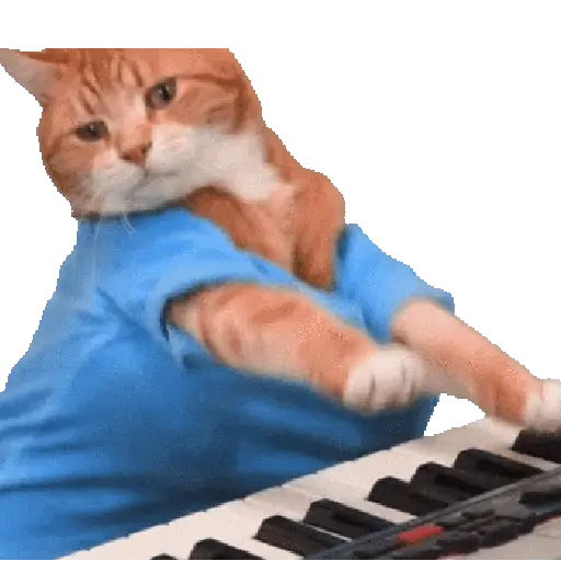 🐈🐱 Gatos Memes Michis 🐱🐈 3