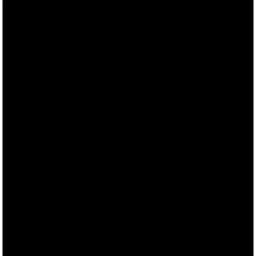 Cat 3