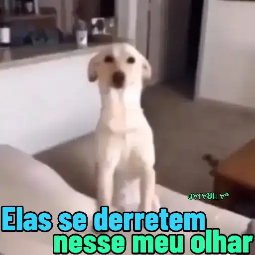 Namorados* 8