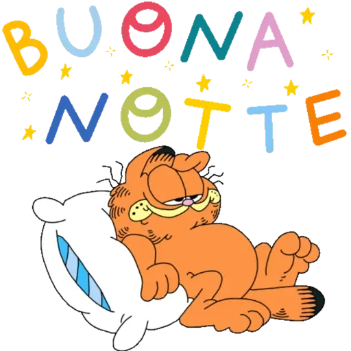 Boa noite 7
