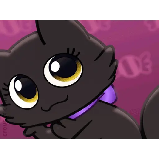 Créu Cat  Gato negro 🐈‍⬛📲 20