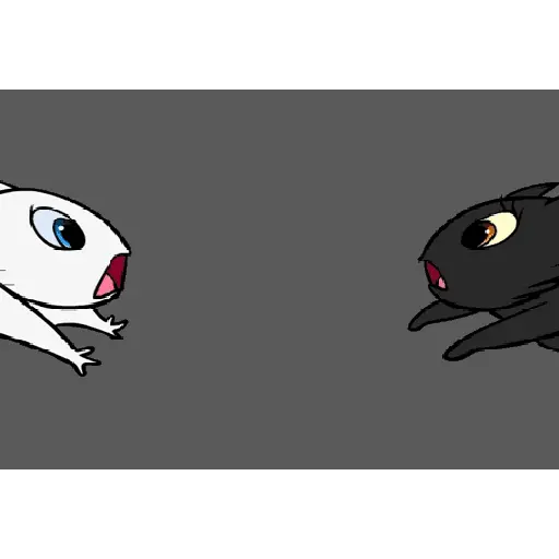 Créu Cat  Gato negro 🐈‍⬛📲 17