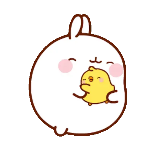 🐰 Conejo Molang Bunny🐰🥕 18