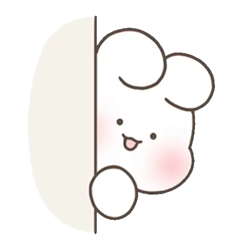 🐇Conejo Chubby Cuteness4🐰🩷🥕 5