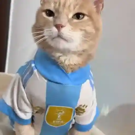 Argentina 🇦🇷Mundial2026 2