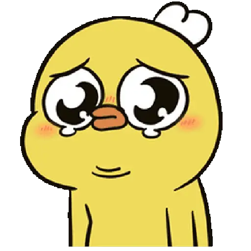 Pollito Mood ReACtiOnS 🐥‼️🐤 12