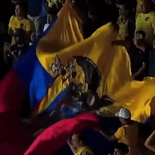 Ecuador | Eliminatorias 🇪🇨 9