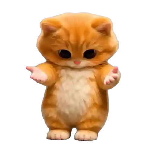 Gatito Bailando 💃🎶 11