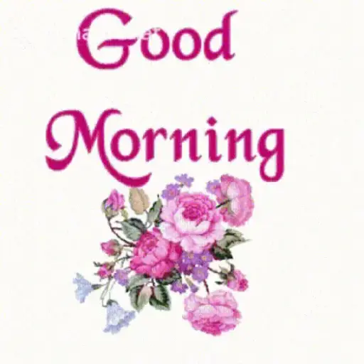 Good morning 1