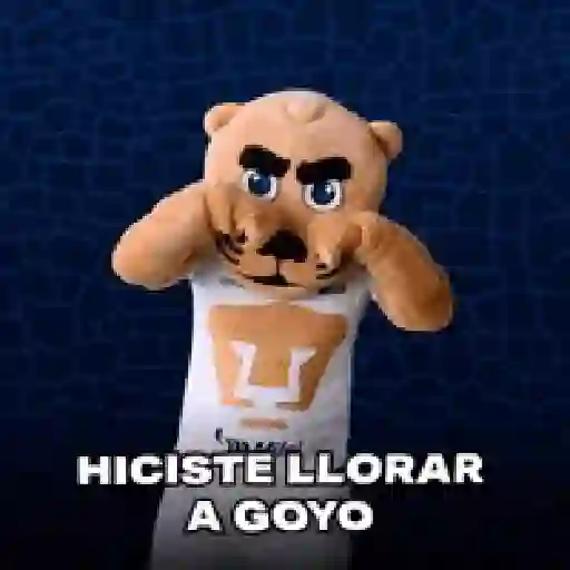 Pumas  14