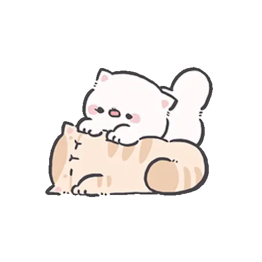 Gatito blanco 😸🤍 fluffy 🩷 10