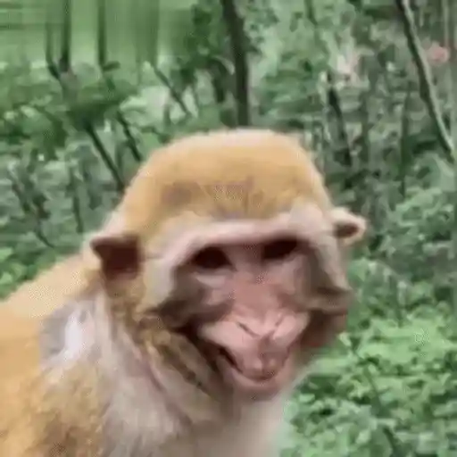 😂 HaHa Jajajajajaja 😂 1