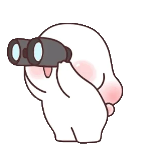 🐰 Conejo Chubby Cuteness 🩷🐰 2