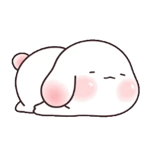 🐰 Conejo Chubby Cuteness 🩷🐰 12