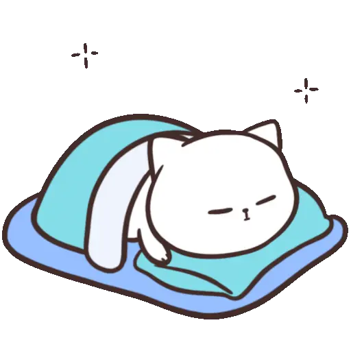 ✨ Gato funny ฅ⁠^⁠•⁠ﻌ⁠•⁠^⁠ฅ 9