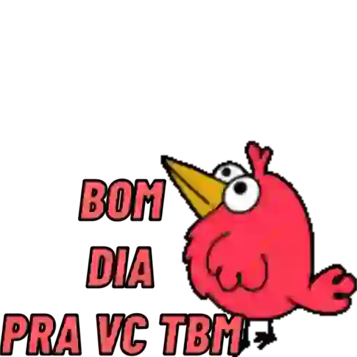 BOM DIA ☀️ 13