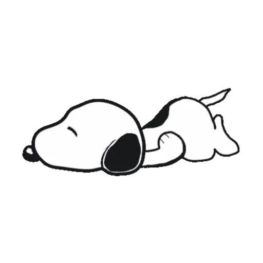 Boa noite 6