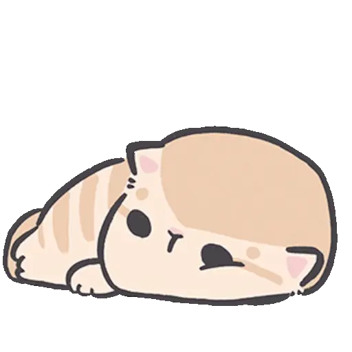 Gatito blanco 😸🤍 fluffy 🩷 9