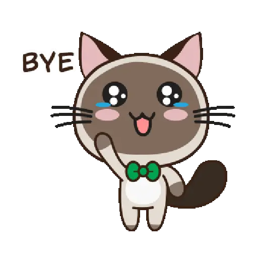 Bye bye 👋🏻👋🏻 Adiós 7