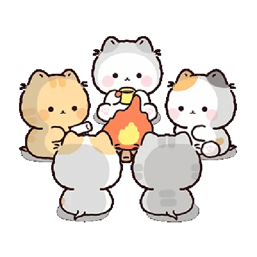 Gatos cute 😽 ฅ⁠^⁠•⁠ﻌ⁠•⁠^⁠ฅ 12