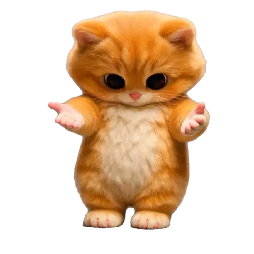 Gatito Bailando 💃🎶 10