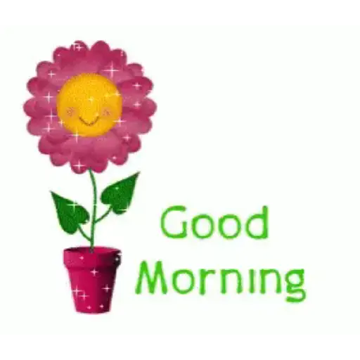 Good morning 7
