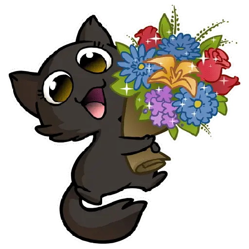 Créu Cat  Gato negro 🐈‍⬛📲 6