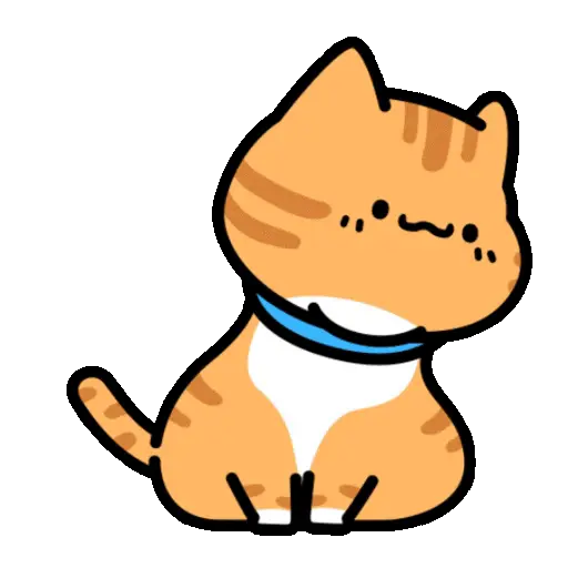 Gatos pa tu chat2📲🐈‍⬛🐈🐈‍⬛🐈 14