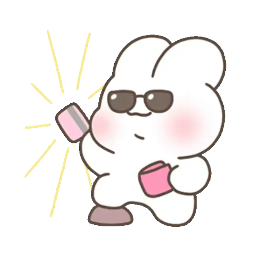 🐰 Conejo Chubby Cute3 🩷🥕 1