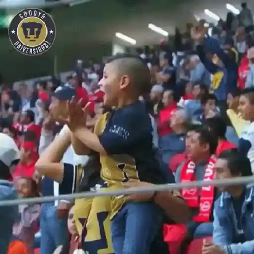 Pumas  6