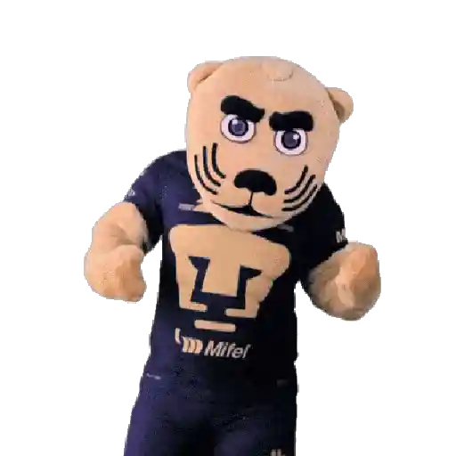 Pumas  3