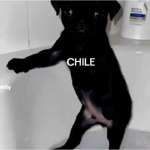 POZOLE, POZOLITO 🍲🌶️🍋 10