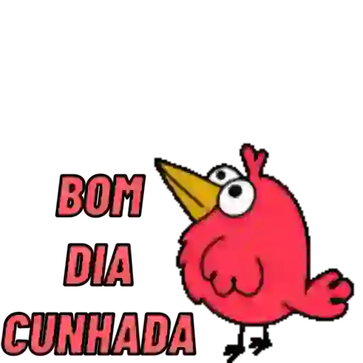 BOM DIA ☀️ 11