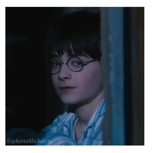 Harry Potter I 🧙🪄 11