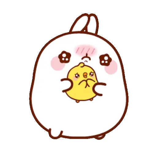 🐰 Conejo Molang Bunny🐰🥕 16