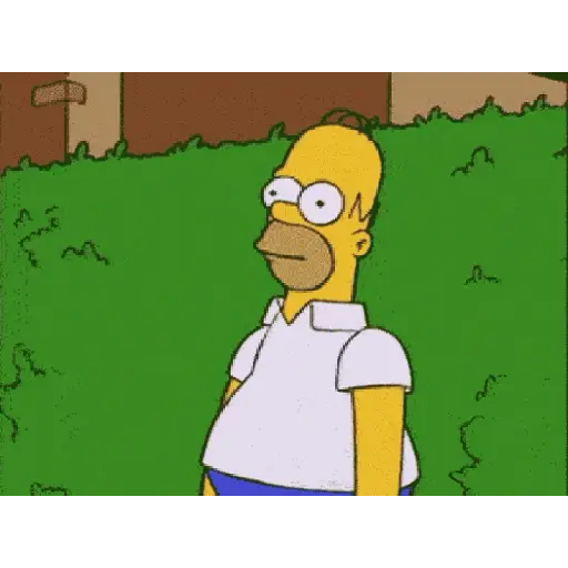 Los Simpson  18