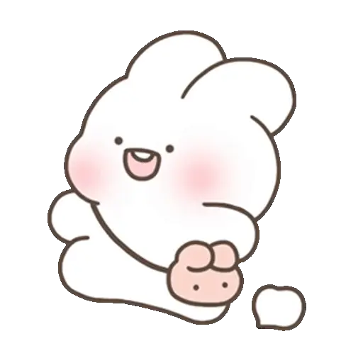 🐰 Conejo Chubby Cute3 🩷🥕 12