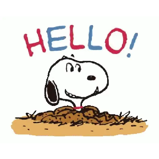 Hi 👋🏻 Hello 🤗 Hola! 23