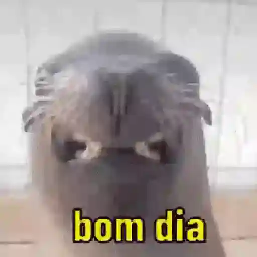 Flork gif 13