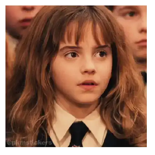 Harry Potter I 🧙🪄 8