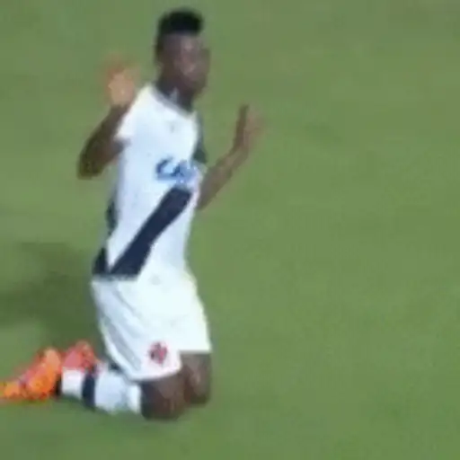 Vasco 13