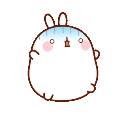 🐰 Conejo Molang Bunny🐰🥕 9