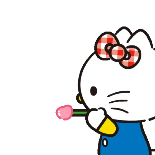 Hello kitty 🎀 20