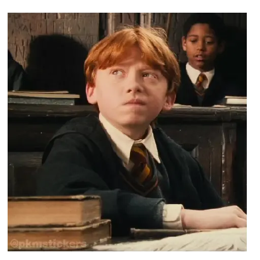 Harry Potter I 🧙🪄 15