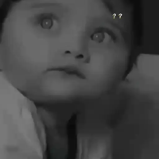 Bebés 🧸 5