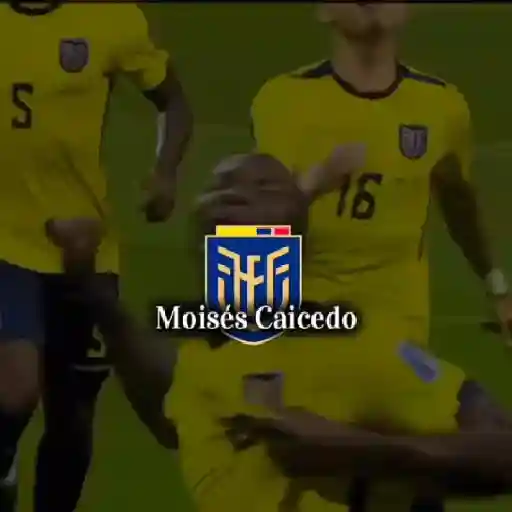 Ecuador | Eliminatorias 🇪🇨 7